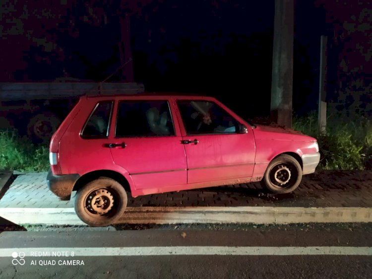 Carro sai da pista e colide em poste em Mondaí