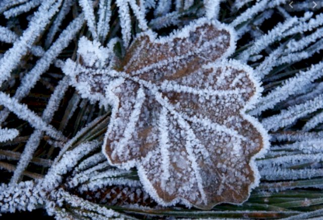 Serra de SC amanhece com geada e temperatura abaixo de -3°C