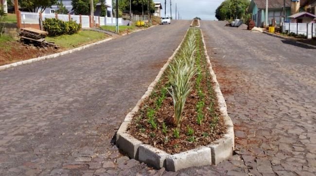 Setor de Jardinagem de Belmonte registra furto de plantas ornamentais