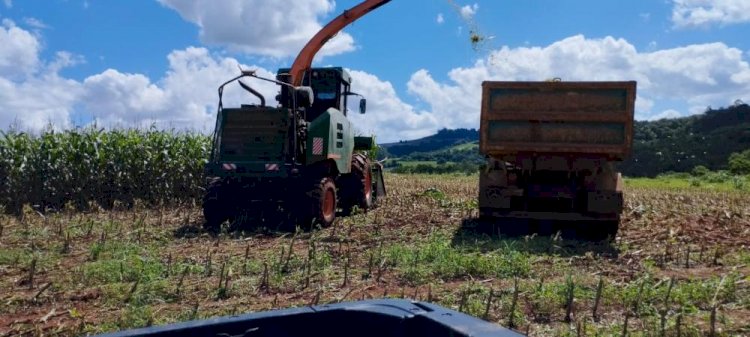 Administração Municipal de Vista Gaúcha Promove Colheita da Silagem