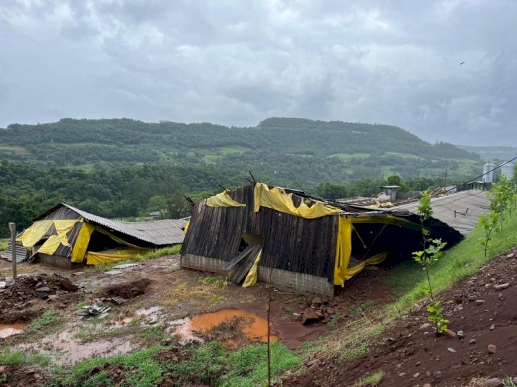 Temporal Causa Estragos em Propriedade Rural de Palmitinho