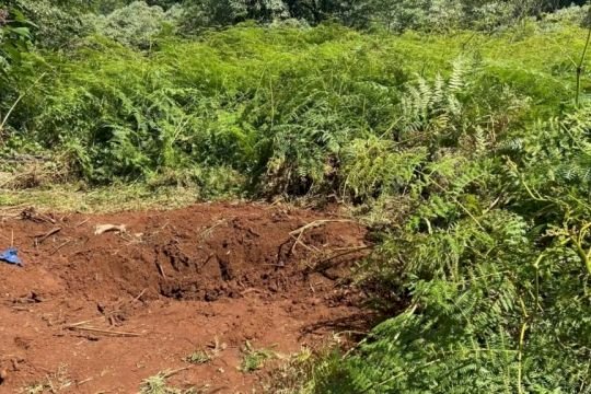 Corpo é encontrado enterrado em cova em Xaxim