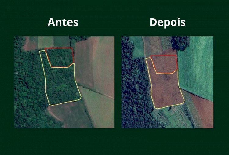 3º Batalhão Ambiental da Brigada Militar flagra destruição de vegetação nativa em Pinheirinho do Vale