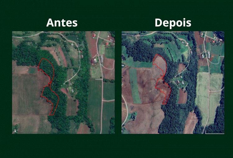 3º Batalhão Ambiental da Brigada Militar flagra destruição de vegetação nativa em Pinheirinho do Vale