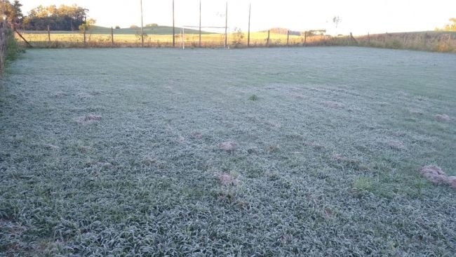 Temperaturas negativas mudam paisagem no amanhecer deste domingo na região