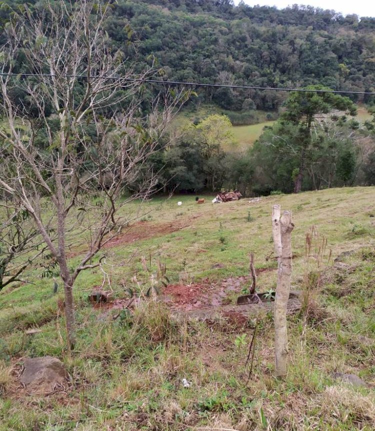 Caminhonete da Celesc sai da pista e capota em ribanceira