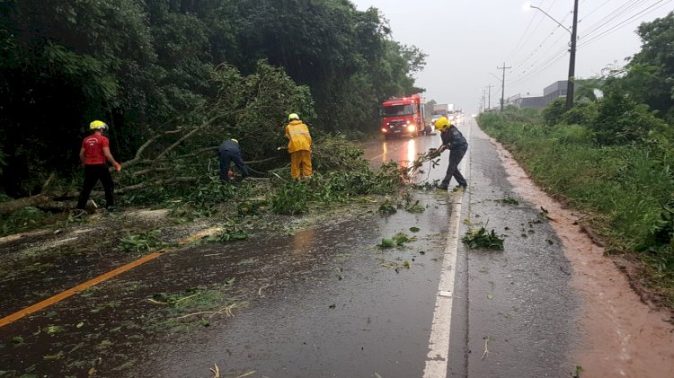 Temporal causa quedas de árvores e destelhamentos de residências em Descanso