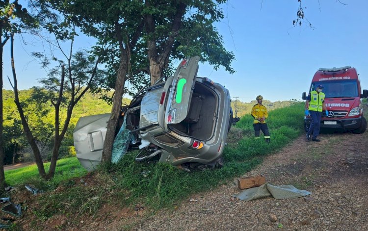 Colisão de veículo em árvore mata motorista