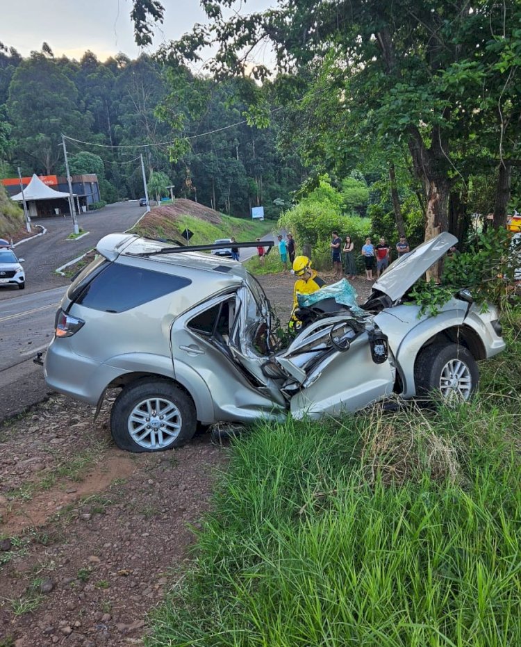 Colisão de veículo em árvore mata motorista