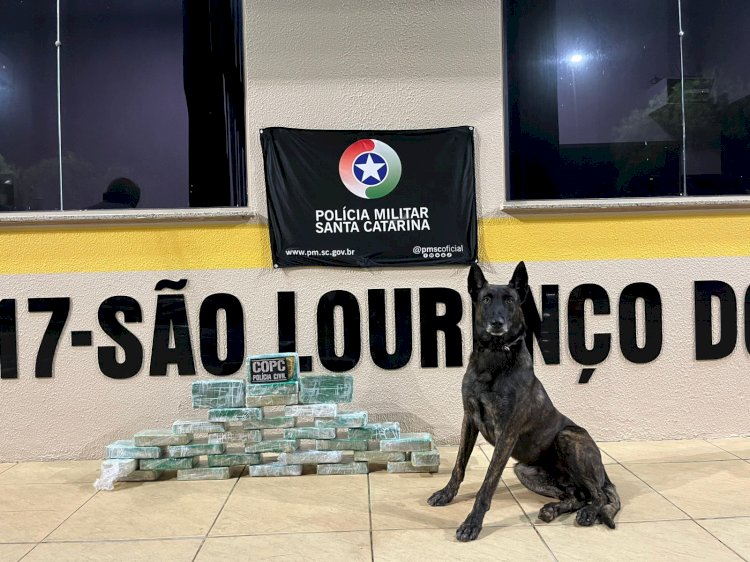 Motorista é preso com mais de 30 kg de crack em no Oeste de SC