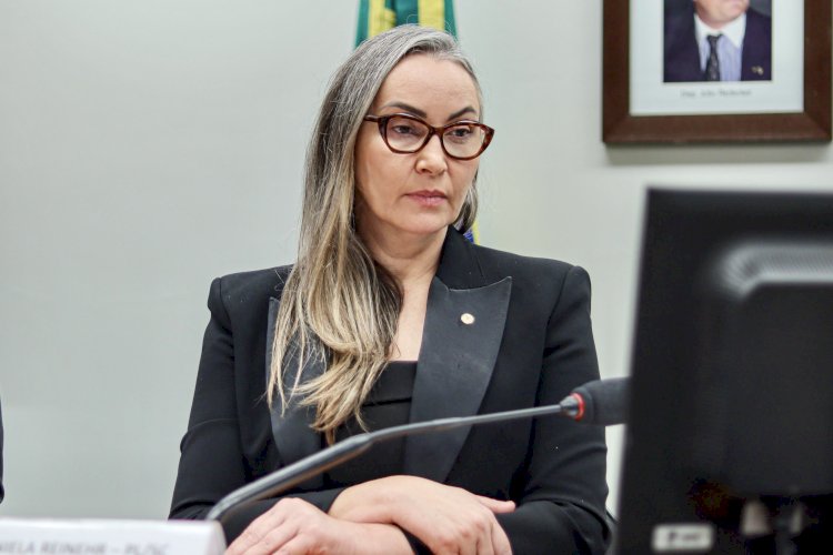 Daniela Reinehr apoia ação contra decreto federal e destaca necessidade de segurança jurídica ao produtor rural